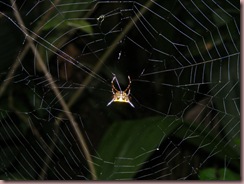 DSCF1274