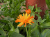 DSCN4874.JPG