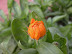 DSCN4876.JPG