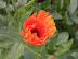 DSCN4877.JPG