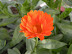 DSCN4879.JPG