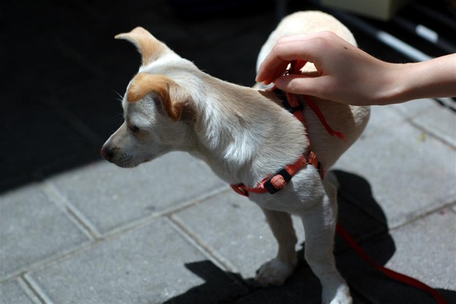 [DSC_1484 (Large)[3].jpg]