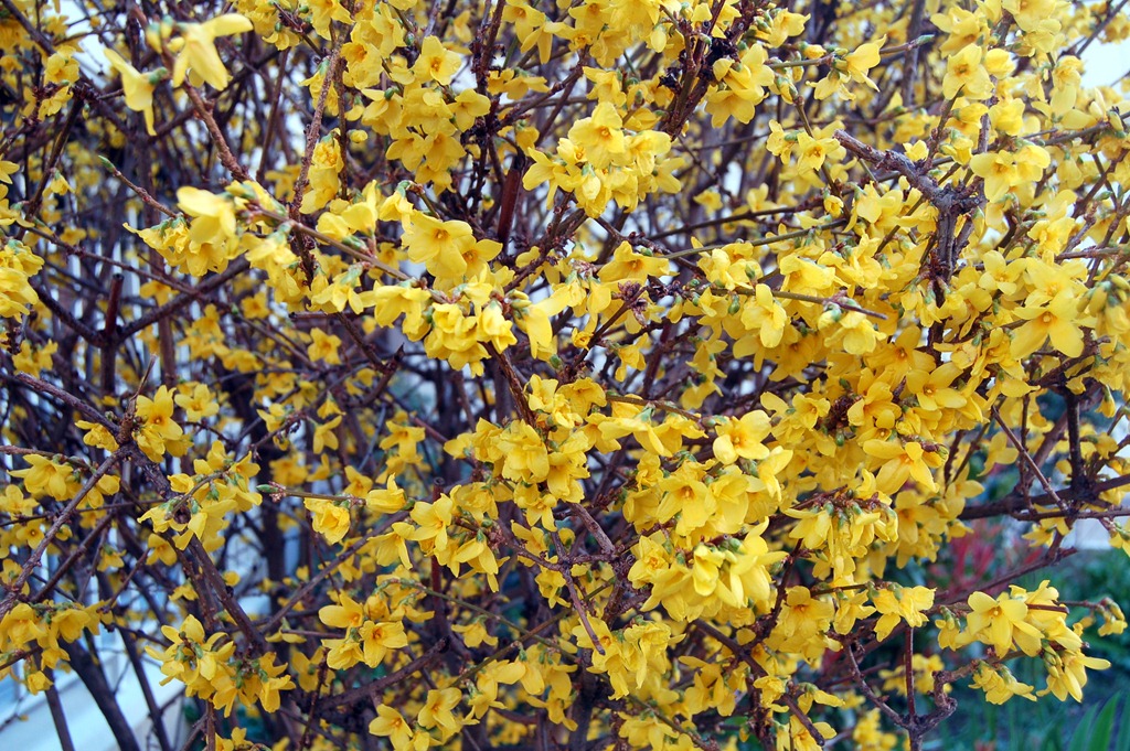 [DSC_0405.jpg]