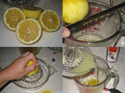 Prepping Lemons