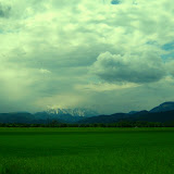 IMG_1176.JPG