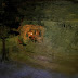100_7801kadr.jpg, http://www.worldofmoldova.com/en/attractions-of-moldova/saharna-moldova/, Rideabout 2008
