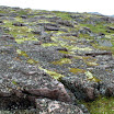 DSC00141.JPG