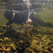 P7301033-1.JPG