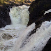 DSC00225.JPG