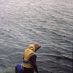 26540049.JPG