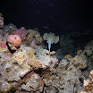 PB211763-1.JPG