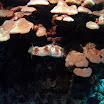PB211716.JPG