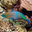 PB211727-1.JPG