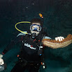 DSC_0406-3.JPG