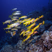 PB211736-1.JPG