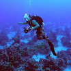 PB201477-1.JPG