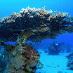 PB201527-1.JPG