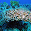 PB201542-1.JPG