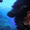 PB201548-1.JPG