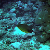 PB201549-1.JPG