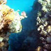 PB201568-1.JPG
