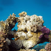 PB201562-1.JPG