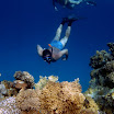 PB201576-1.JPG