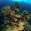 PB201598-1.JPG