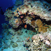 PB201601-1.JPG