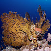 PB201608-1.JPG