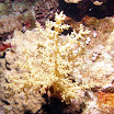 PB201623-1.JPG