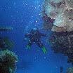 PB201630-1.JPG
