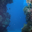 PB201629-1.JPG