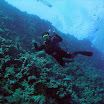 PB211661-1.JPG