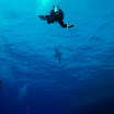 DSC_0330-1.JPG