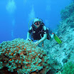 PB211703-1.JPG
