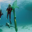 PB242026-1.JPG