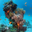 PB242045-1.JPG