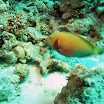 PB242069-1.JPG