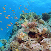 PB242067-1.JPG
