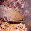 PB211774-t1.jpg