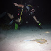 PB211783-2.JPG