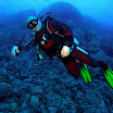 PB221794-1.JPG