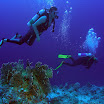 PB221795-1.JPG