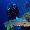 PB221797-2.JPG