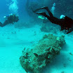 PB221811-1.JPG