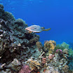 PB221815-1.JPG