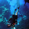 PB221828-1.JPG