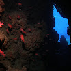 PB221834-1.JPG