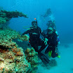PB221855-1.JPG